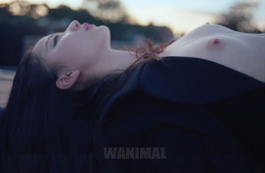 WANIMAL出品无圣光套图（十八）[100P]