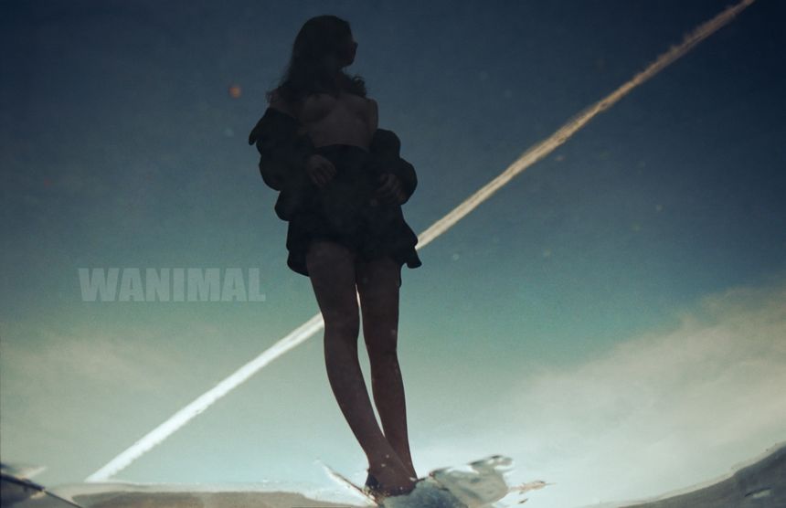 WANIMAL出品无圣光套图（十八）[100P]