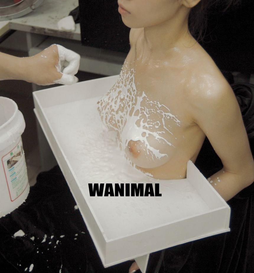 WANIMAL出品无圣光套图（十八）[100P]