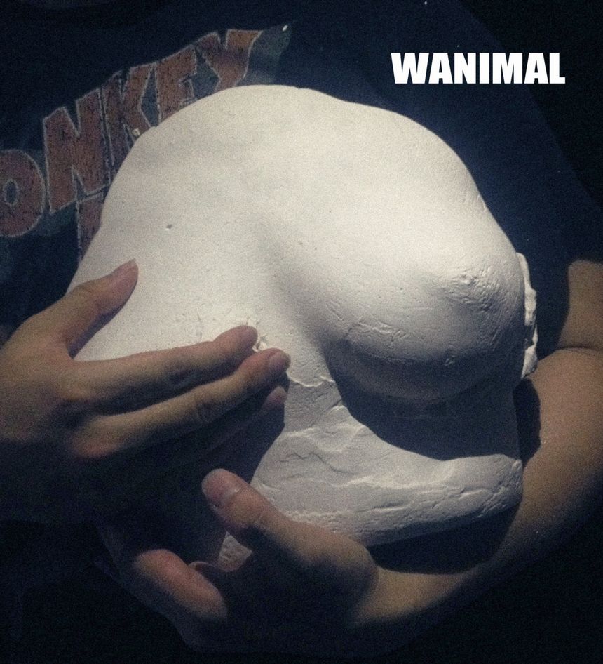 WANIMAL出品无圣光套图（十八）[100P]