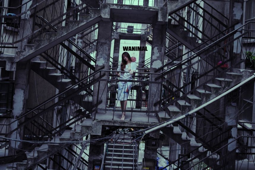 WANIMAL出品无圣光套图（十八）[100P]