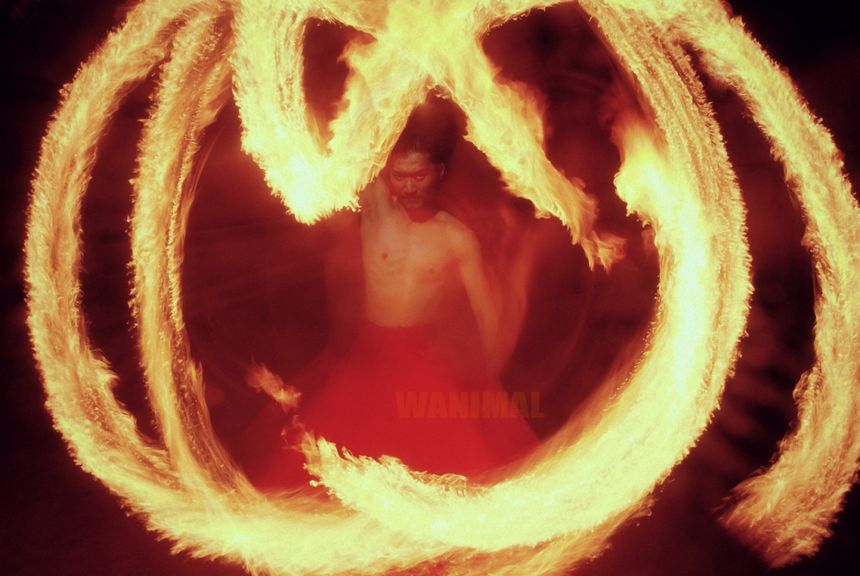 WANIMAL出品无圣光套图（十八）[100P]