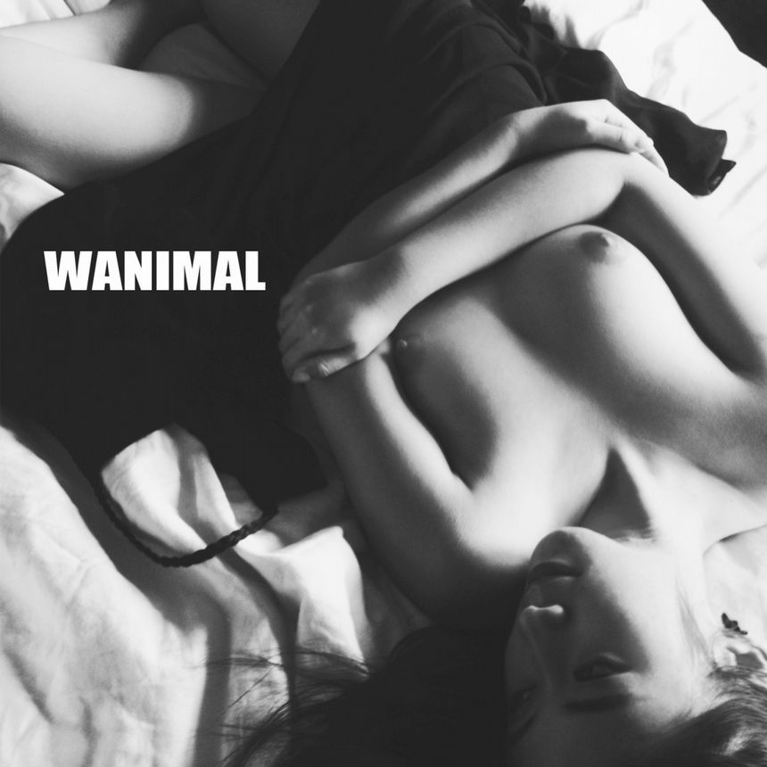 WANIMAL出品无圣光套图（十八）[100P]