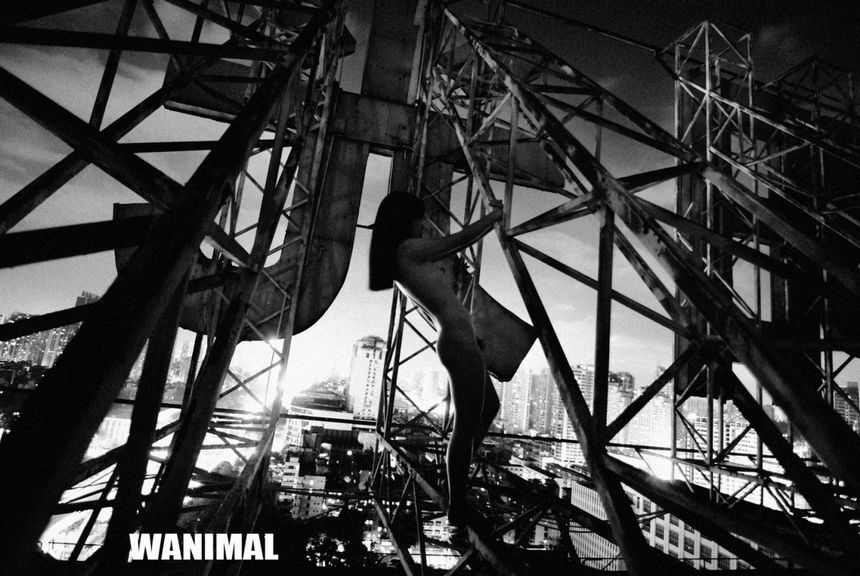 WANIMAL出品无圣光套图（十八）[100P]