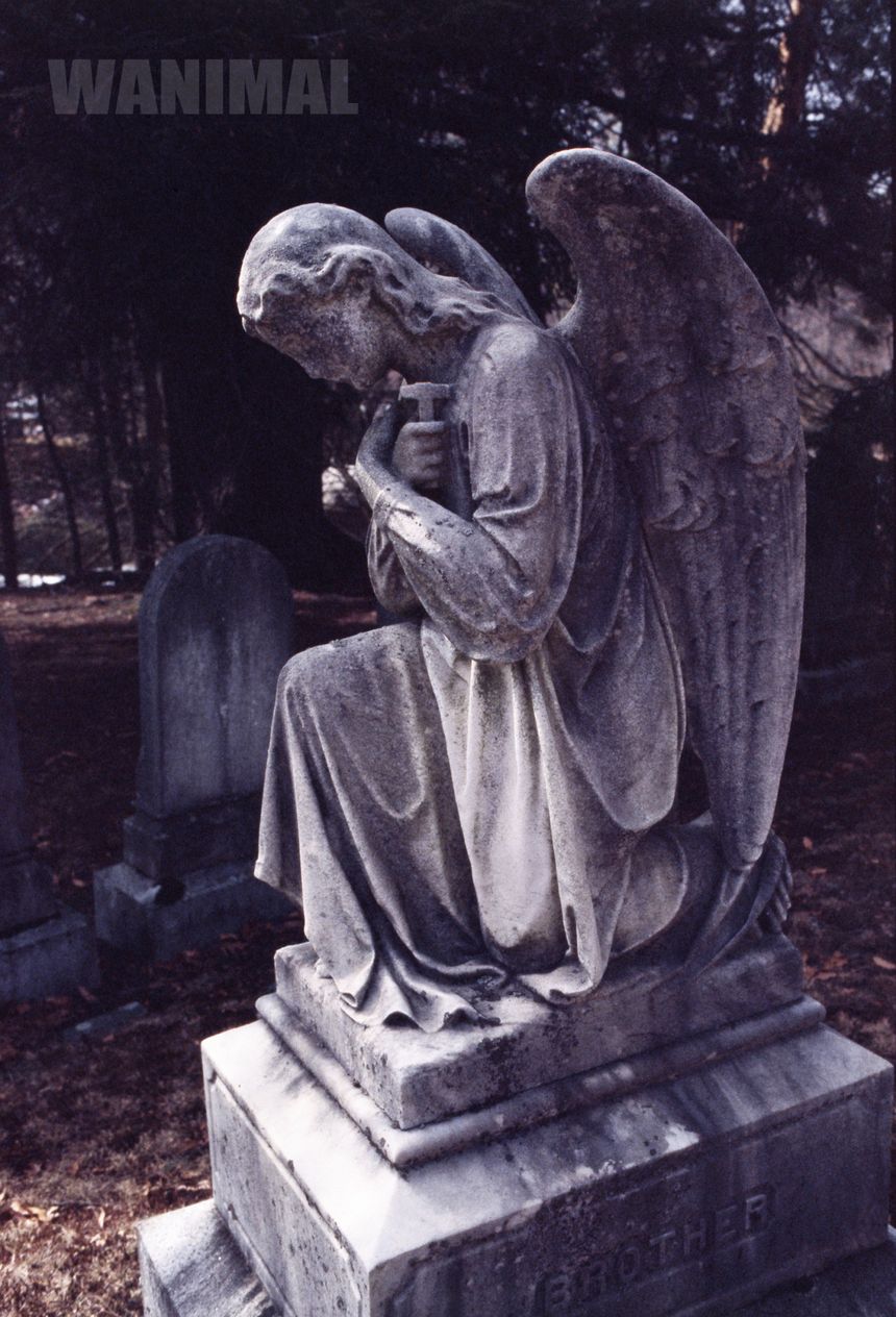 WANIMAL出品无圣光套图（十八）[100P]