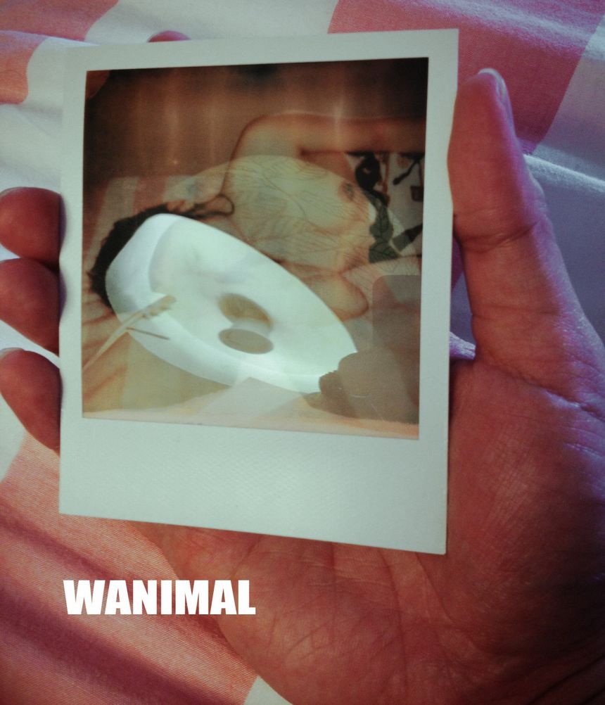 WANIMAL出品无圣光套图（十八）[100P]