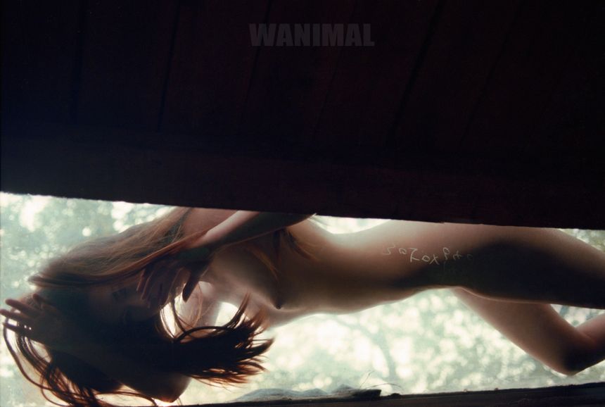 WANIMAL出品无圣光套图（十八）[100P]