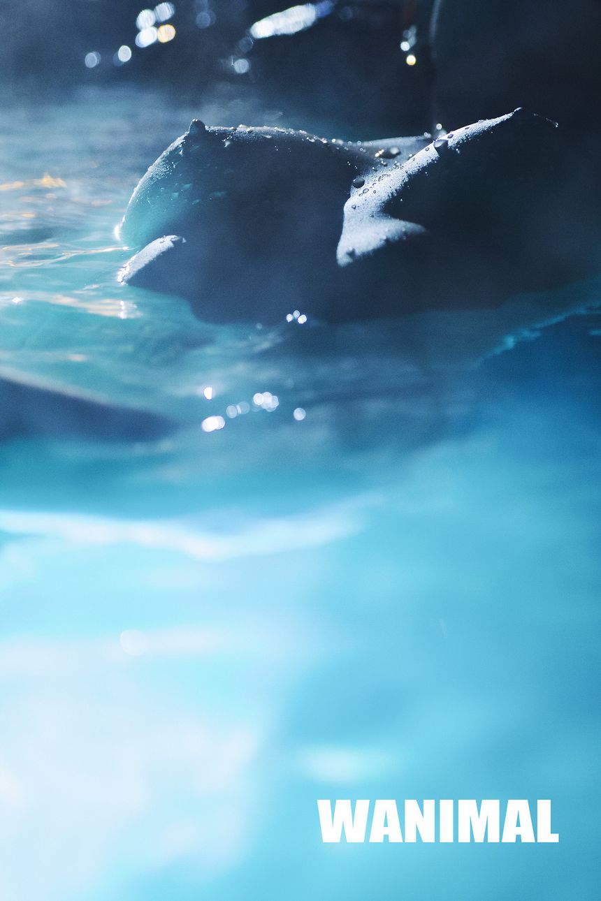 WANIMAL出品无圣光套图（十四）[112P]