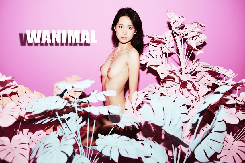 WANIMAL出品无圣光套图（十四）[112P]