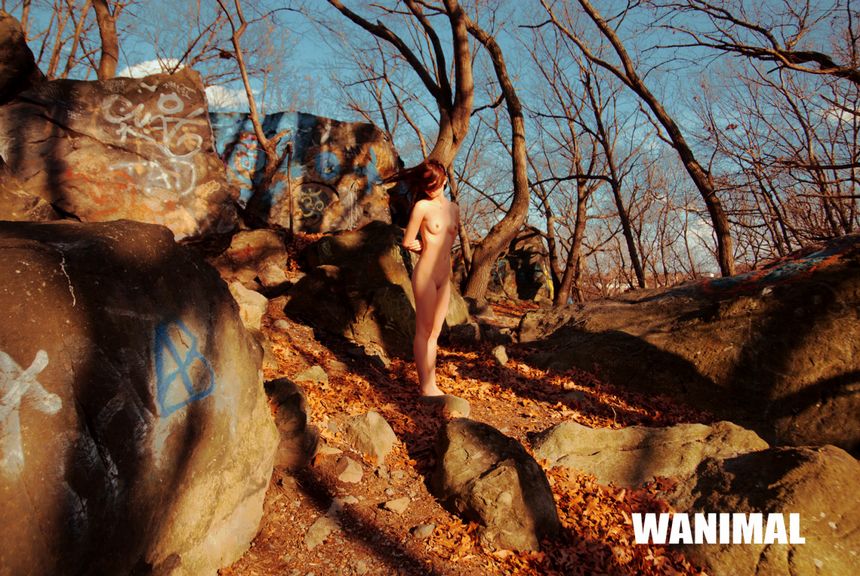 WANIMAL出品无圣光套图（十）[67P]