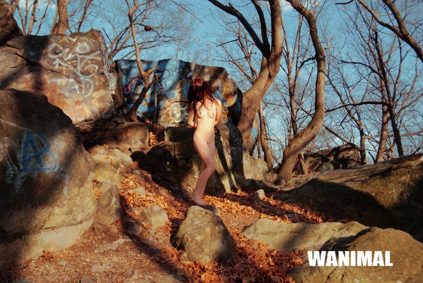 WANIMAL出品无圣光套图（十）[67P]