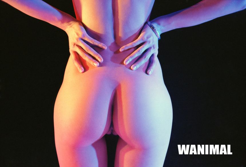WANIMAL出品无圣光套图（四）[71P]