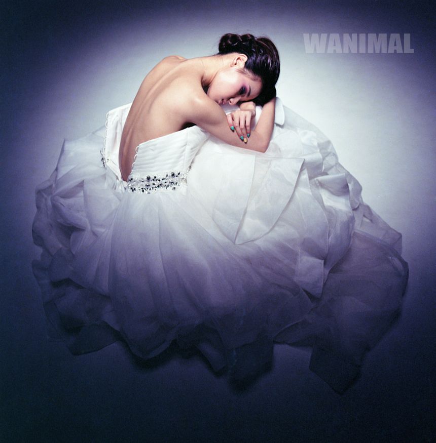 WANIMAL出品无圣光套图（四）[71P]