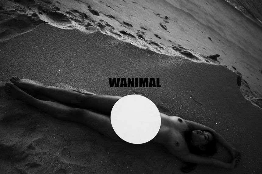 WANIMAL官方出品12月VIP无圣光套图[120P]