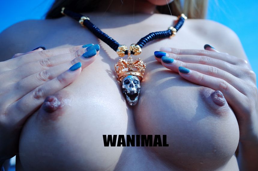 WANIMAL官方出品12月VIP无圣光套图[120P]