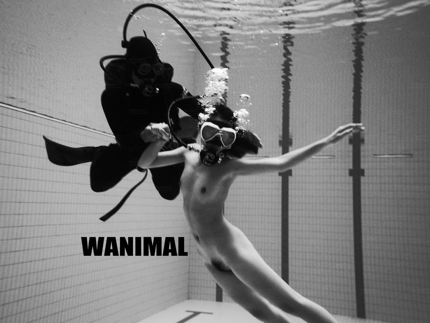 WANIMAL官方出品12月VIP无圣光套图[120P]