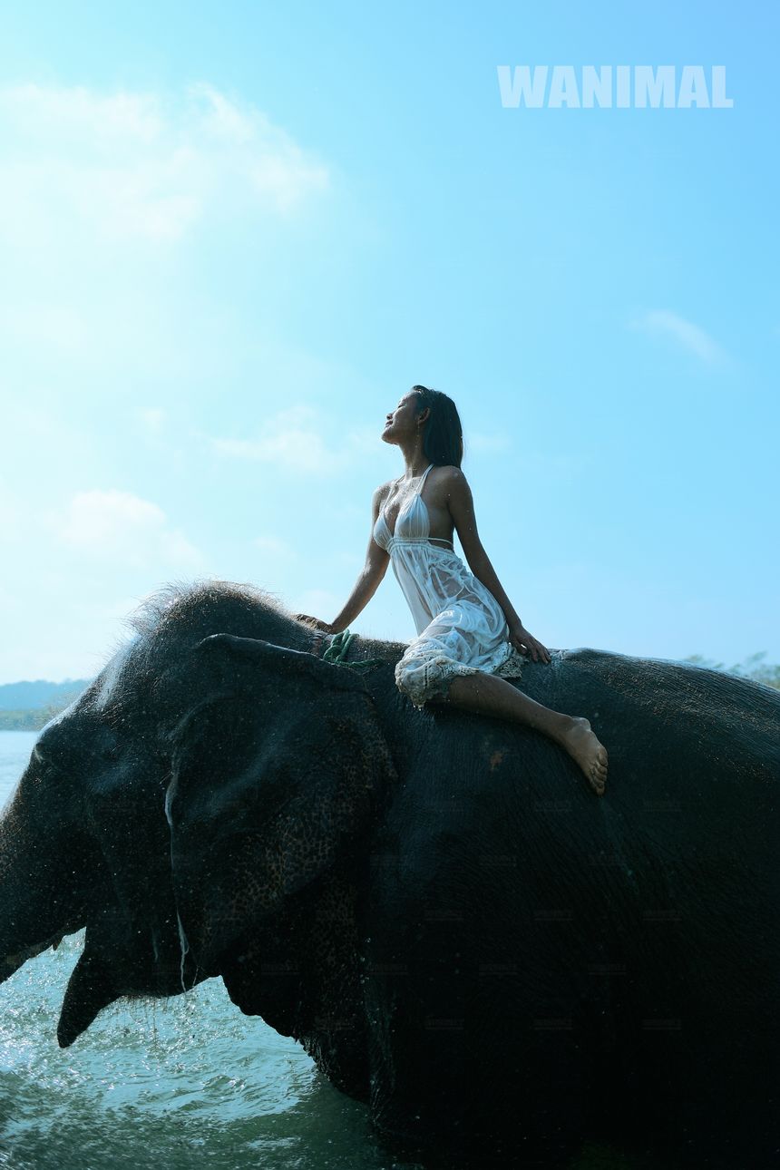 WANIMAL官方出品12月VIP无圣光套图[120P]