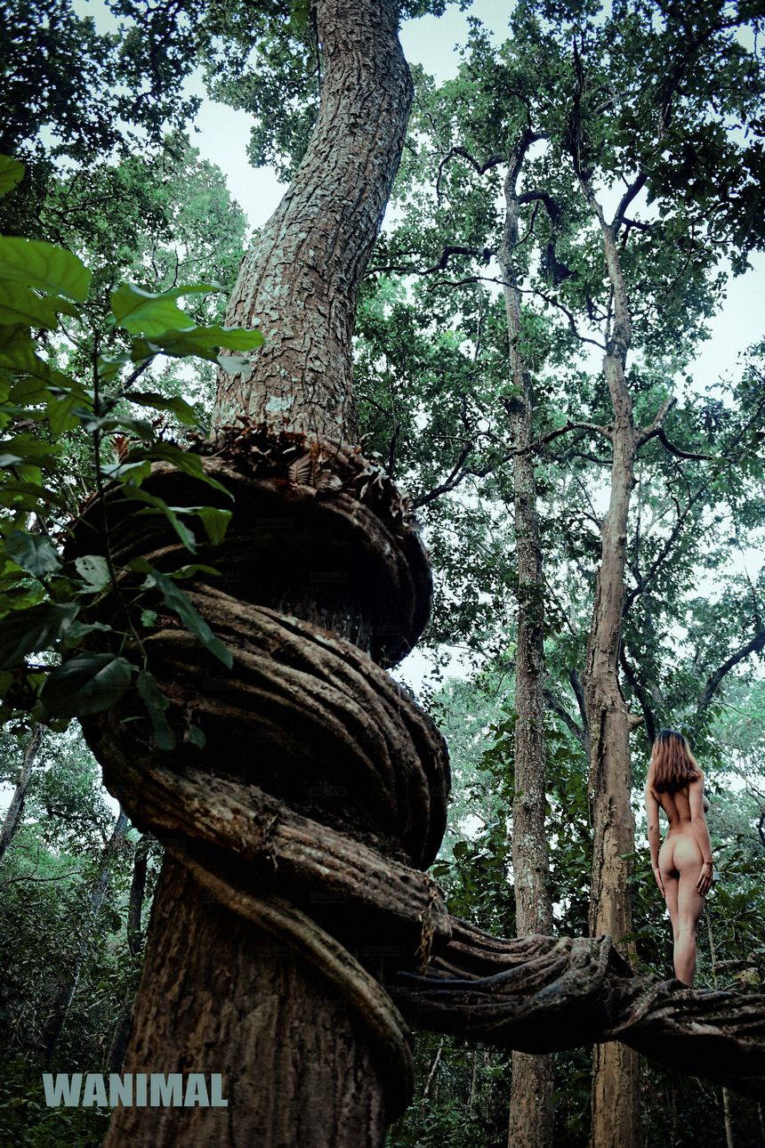 WANIMAL官方出品12月VIP无圣光套图[120P]