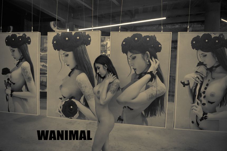 WANIMAL官方出品12月VIP无圣光套图[120P]