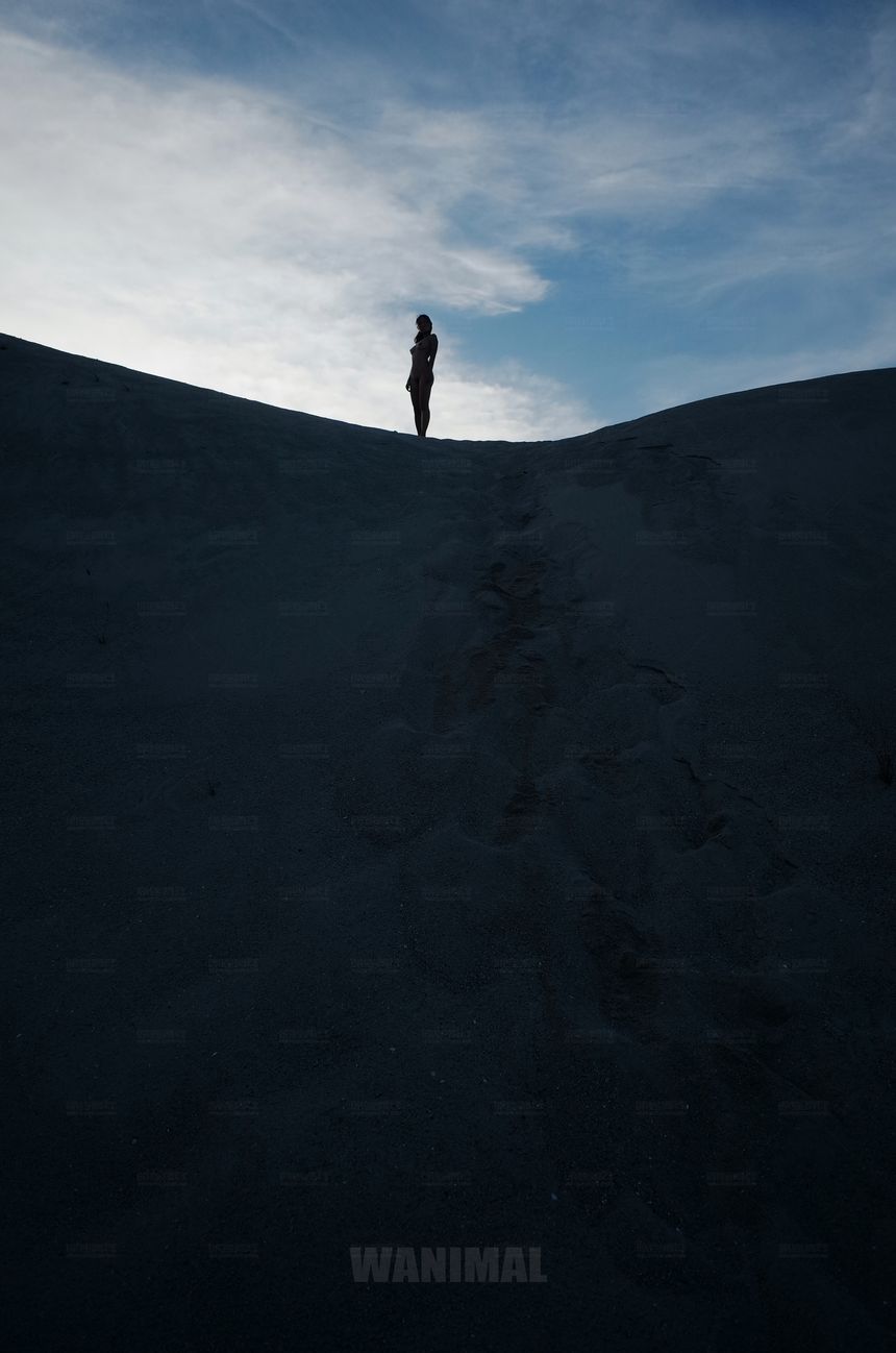 WANIMAL官方出品12月VIP无圣光套图[120P]