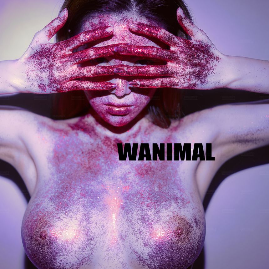 WANIMAL官方出品12月VIP无圣光套图[120P]