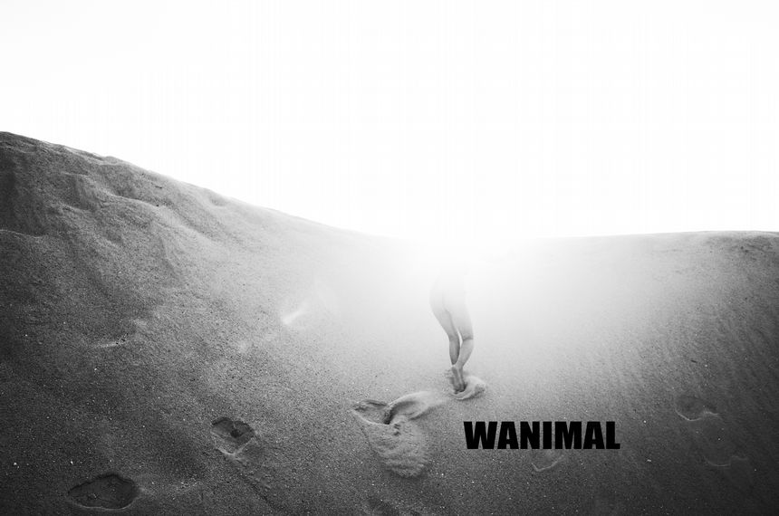 WANIMAL官方出品12月VIP无圣光套图[120P]