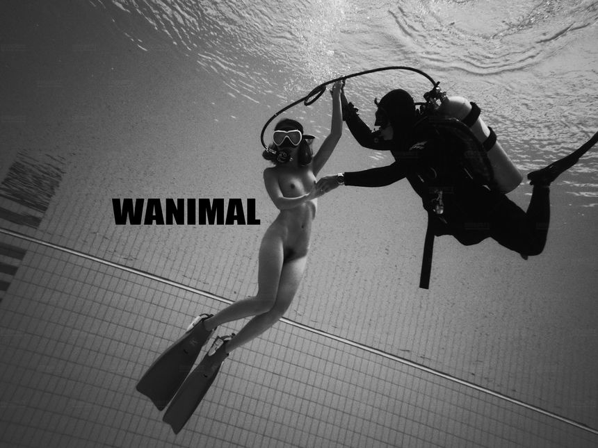 WANIMAL官方出品12月VIP无圣光套图[120P]