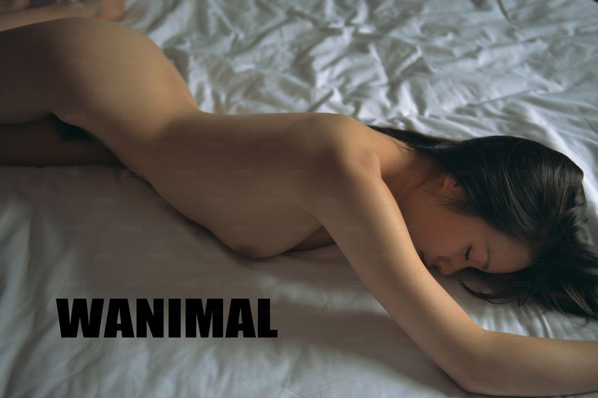 WANIMAL官方出品12月VIP无圣光套图[120P]