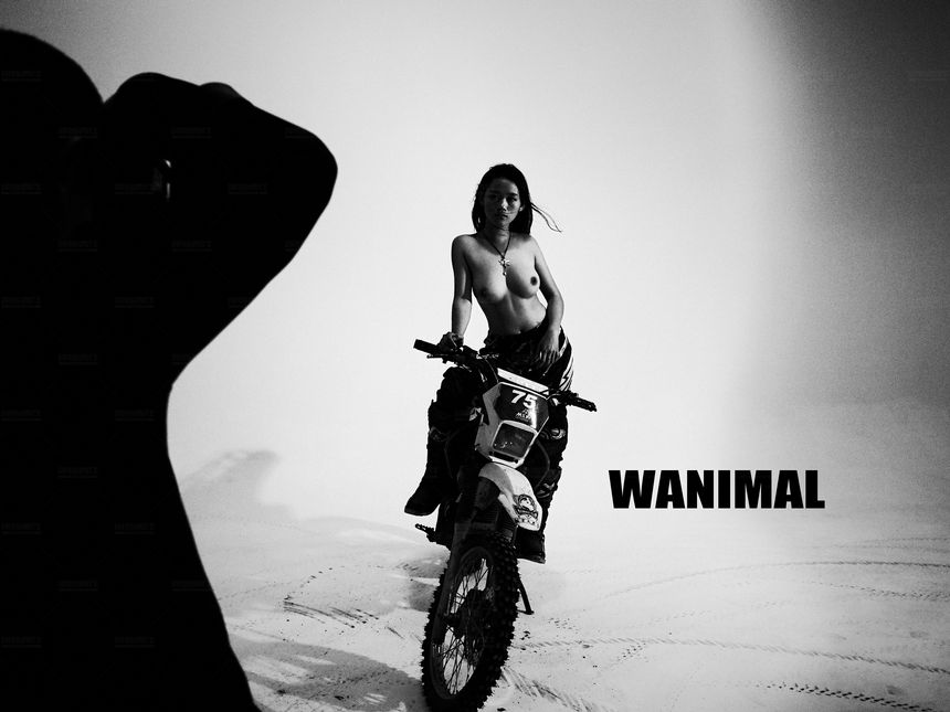 WANIMAL官方出品12月VIP无圣光套图[120P]