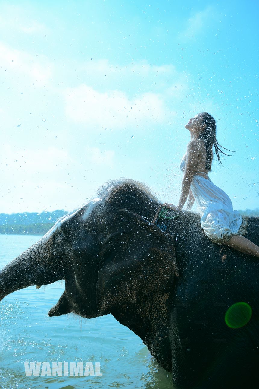 WANIMAL官方出品12月VIP无圣光套图[120P]