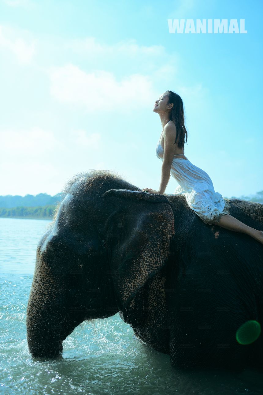 WANIMAL官方出品12月VIP无圣光套图[120P]