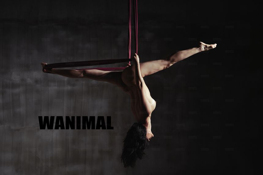 WANIMAL官方出品12月VIP无圣光套图[120P]