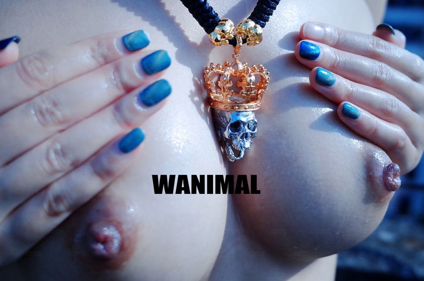 WANIMAL官方出品12月VIP无圣光套图[120P]