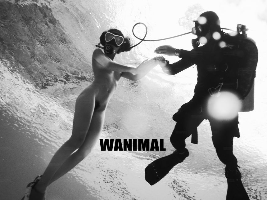 WANIMAL官方出品12月VIP无圣光套图[120P]