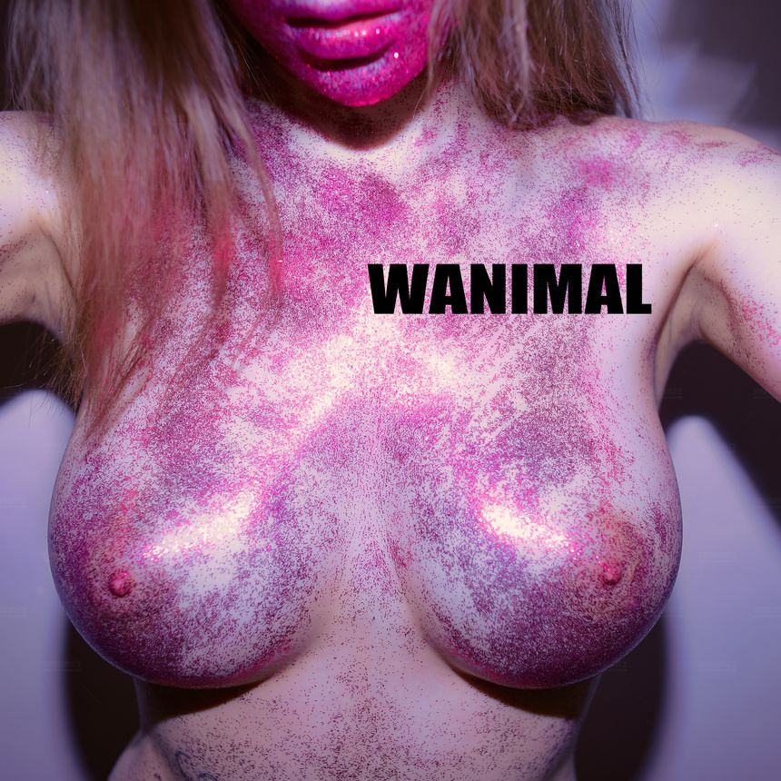 WANIMAL官方出品12月VIP无圣光套图[120P]