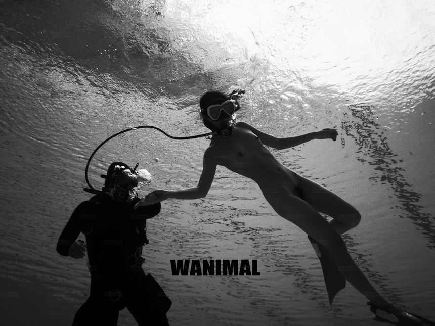 WANIMAL官方出品12月VIP无圣光套图[120P]