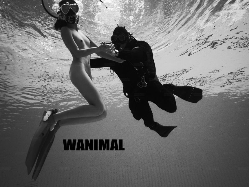 WANIMAL官方出品12月VIP无圣光套图[120P]