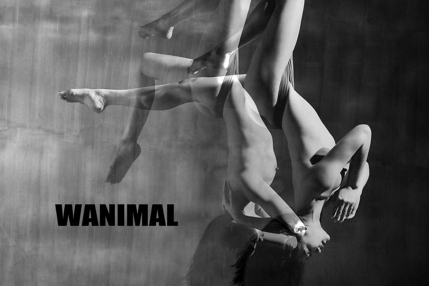 WANIMAL官方出品12月VIP无圣光套图[120P]