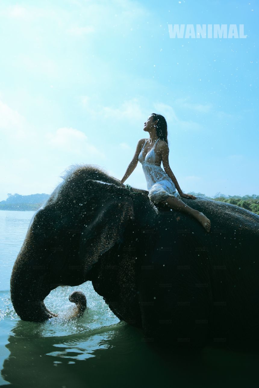 WANIMAL官方出品12月VIP无圣光套图[120P]