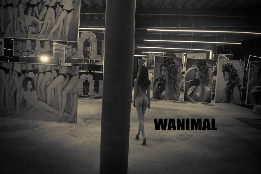 WANIMAL官方出品12月VIP无圣光套图[120P]