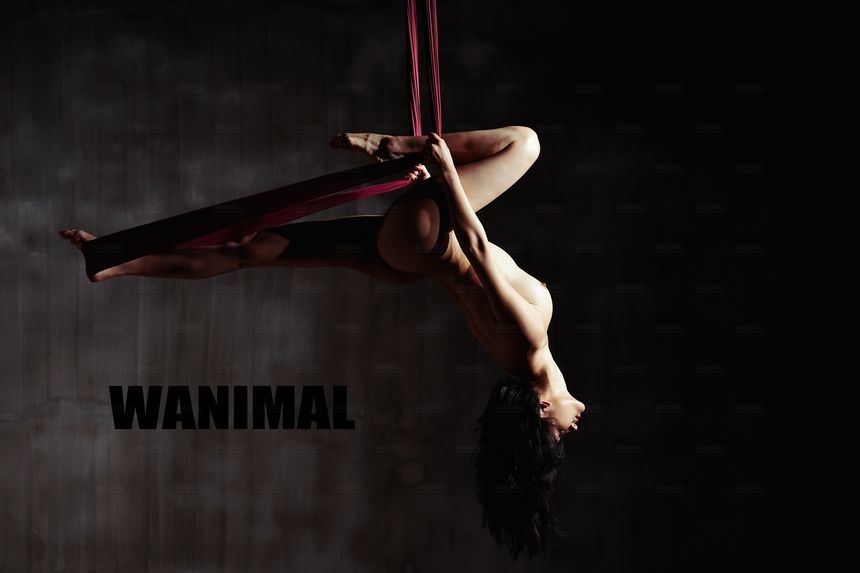 WANIMAL官方出品12月VIP无圣光套图[120P]