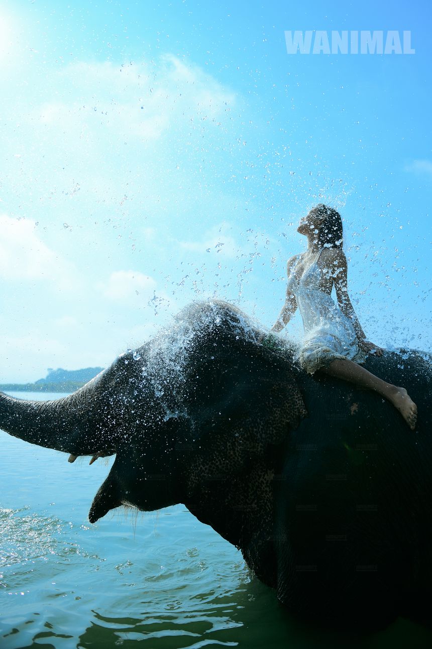 WANIMAL官方出品12月VIP无圣光套图[120P]