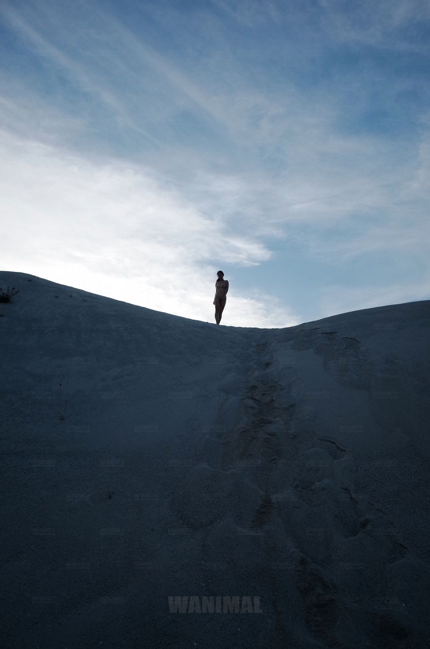 WANIMAL官方出品12月VIP无圣光套图[120P]