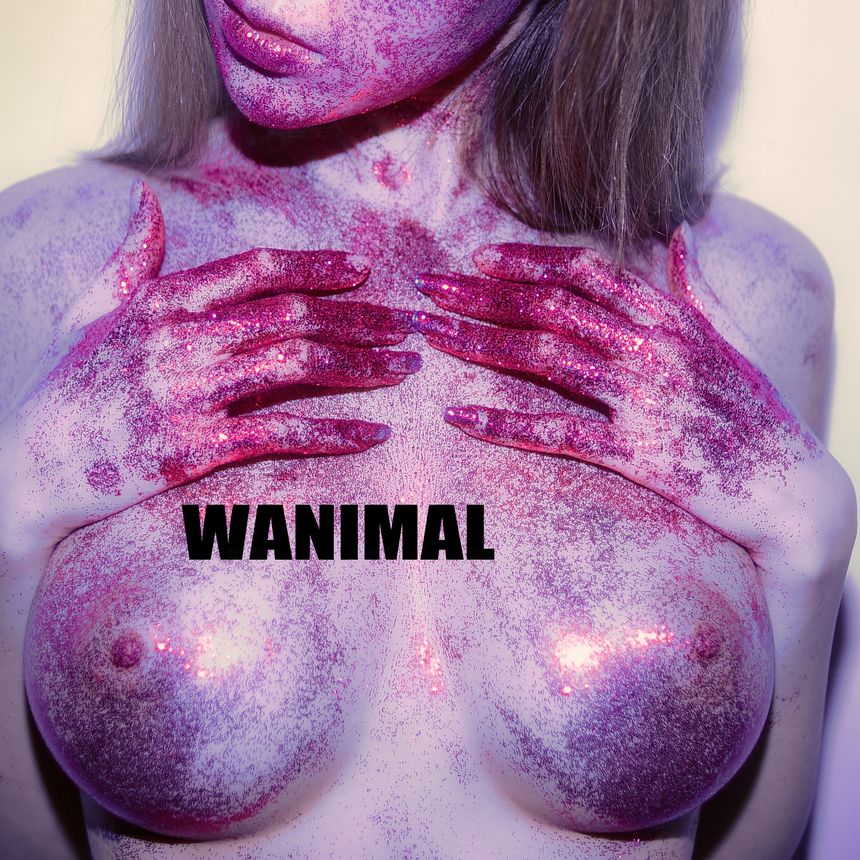 WANIMAL官方出品12月VIP无圣光套图[120P]