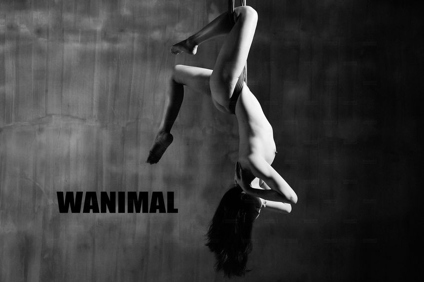 WANIMAL官方出品12月VIP无圣光套图[120P]