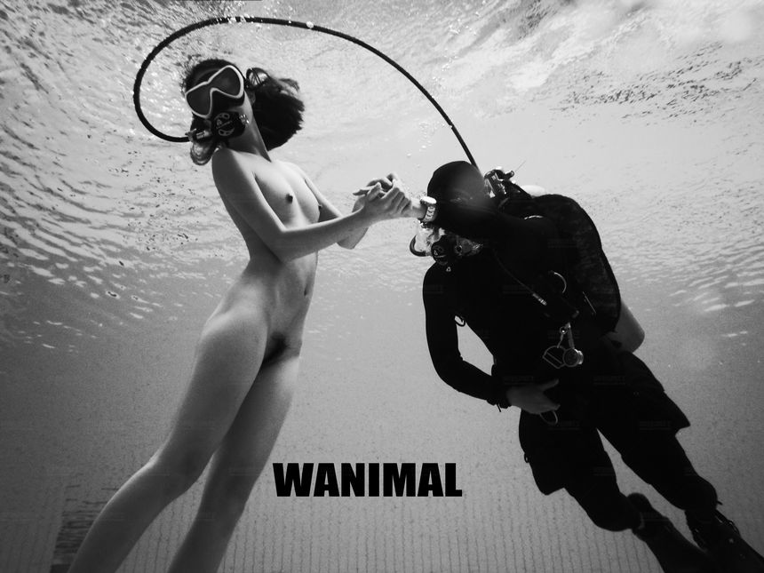 WANIMAL官方出品12月VIP无圣光套图[120P]