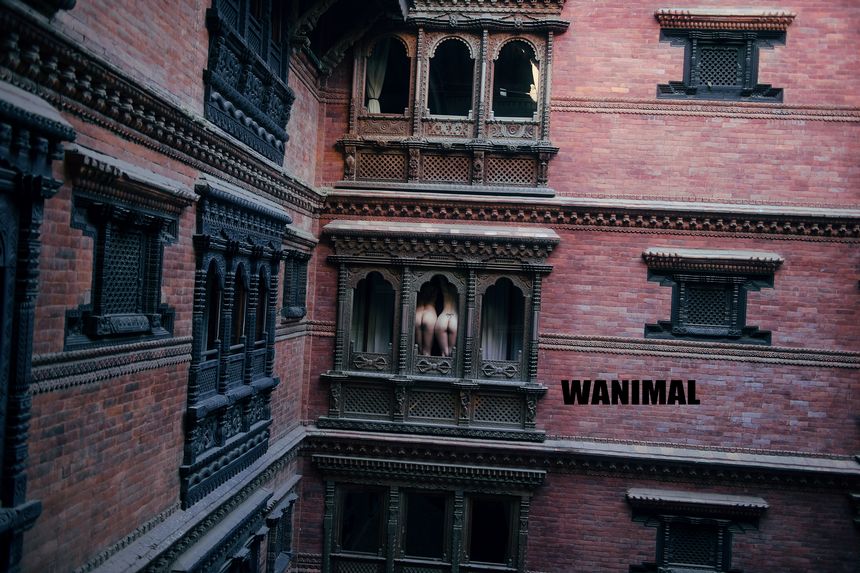 WANIMAL官方出品12月VIP无圣光套图[120P]