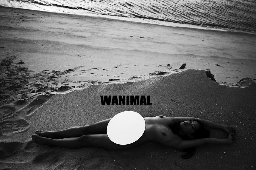 WANIMAL官方出品12月VIP无圣光套图[120P]