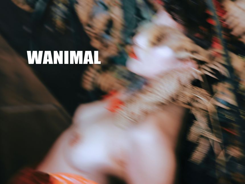 WANIMAL官方出品18年3月VIP无圣光套图（上）[75P]