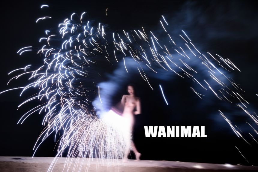 WANIMAL官方出品18年3月VIP无圣光套图（上）[75P]